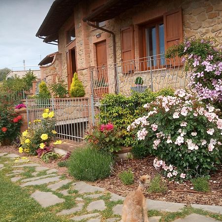 Olivo Bonsai Hotel Passignano sul Trasimeno Bagian luar foto